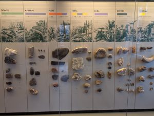 Geologische Zeitleiste gross