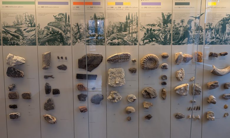 Geologische Zeitleiste gross