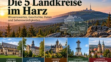 Die fünf Landkreise im Harz
